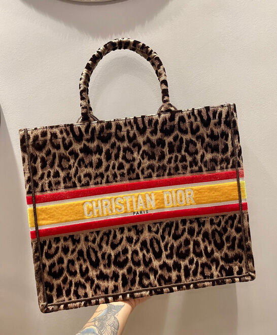 Christian Dior Book Tote Velvet Mizza Embroidery Coffee